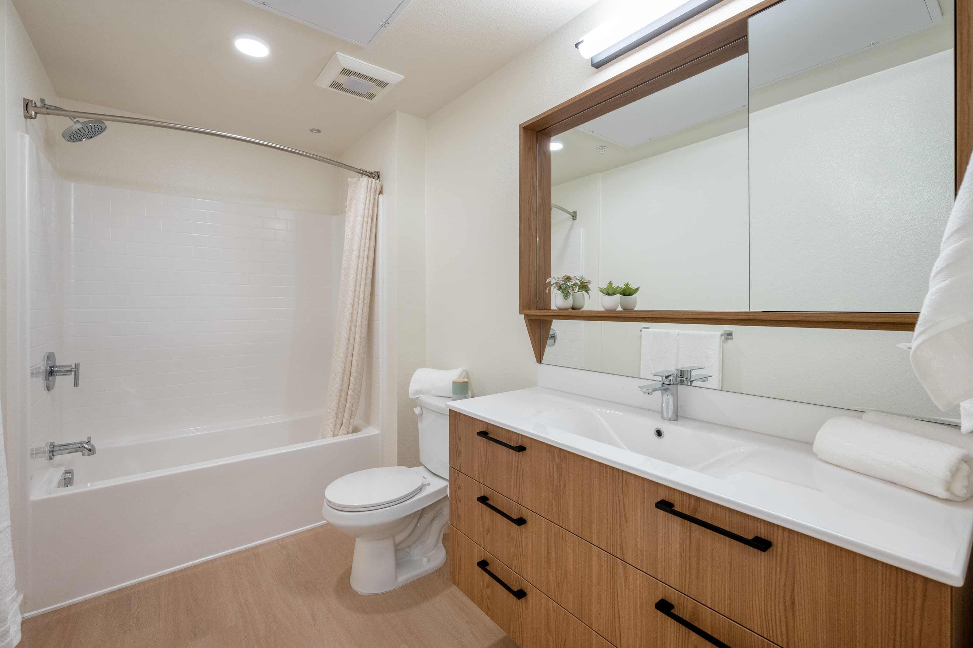 Unit 301 — one-bedroom interior